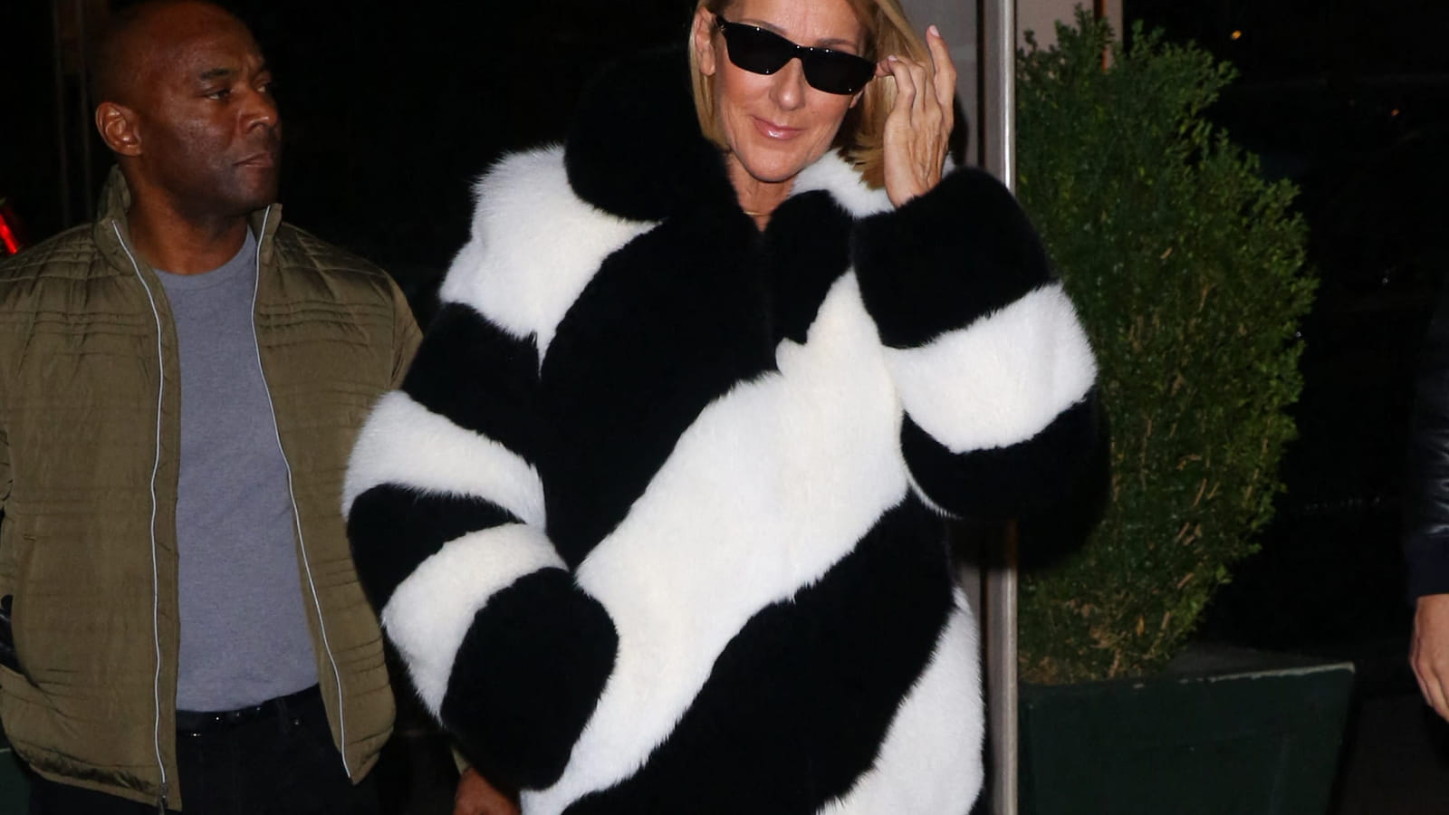 Céline Dion le 14 novembre 2019