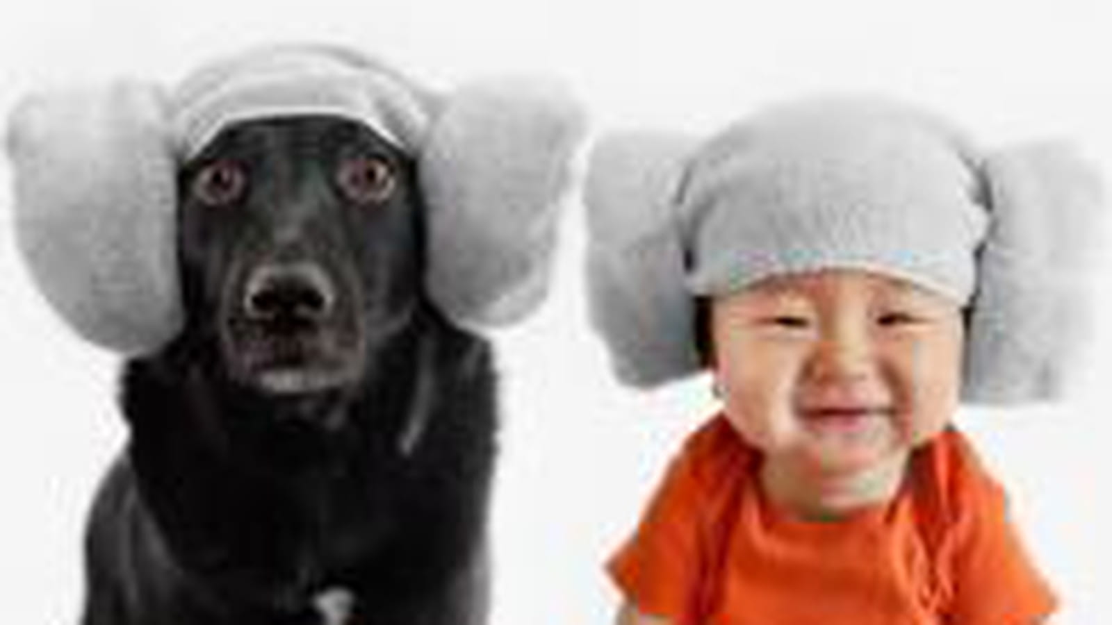 Zoey & Jasper bien accordé