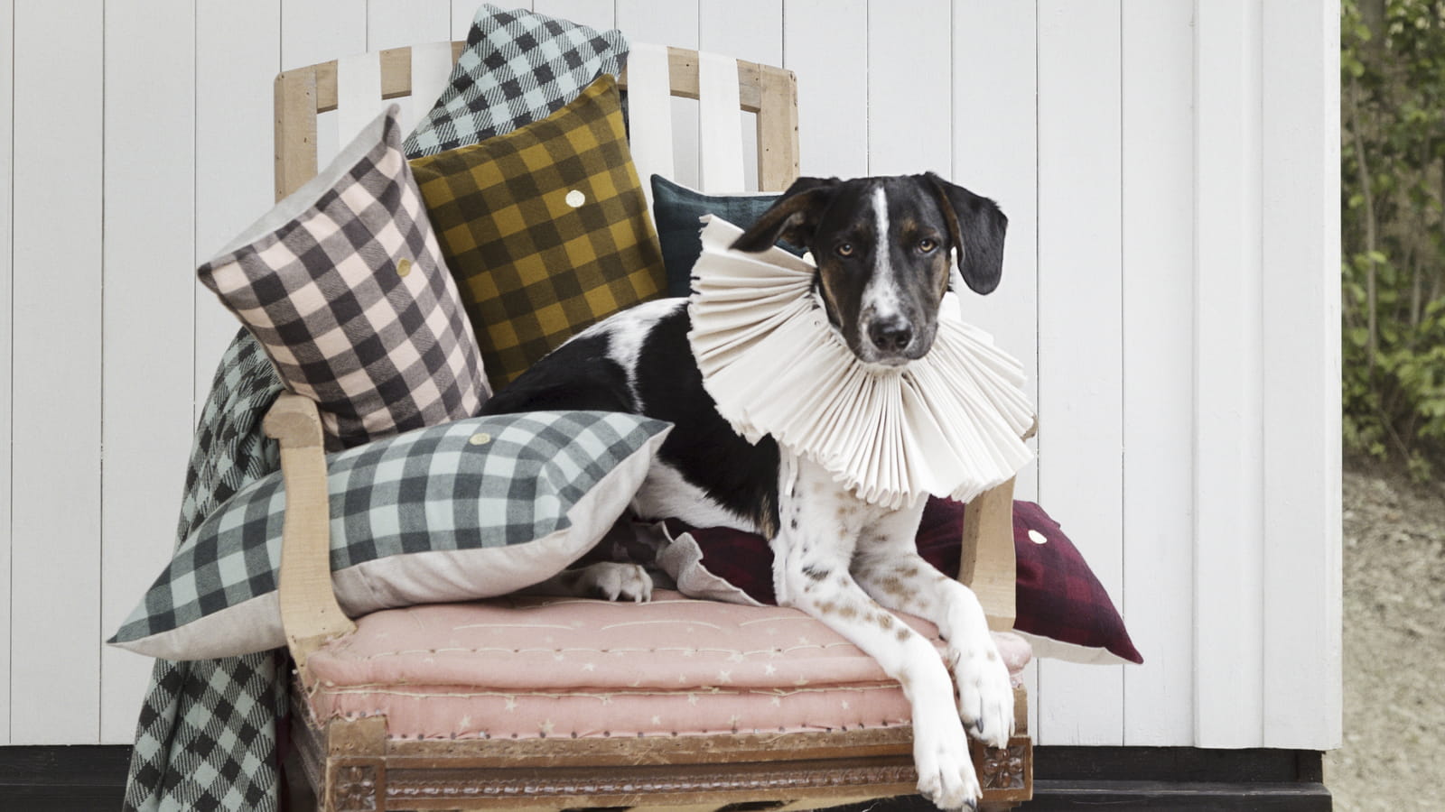 Plaid Vichy