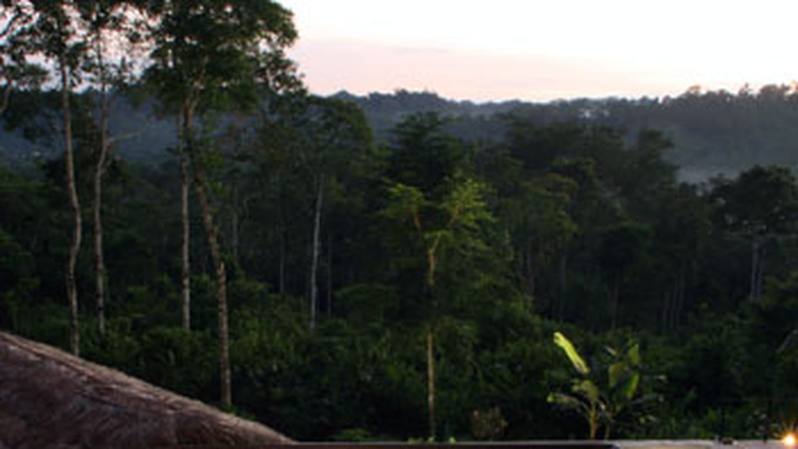 En Amazonie
