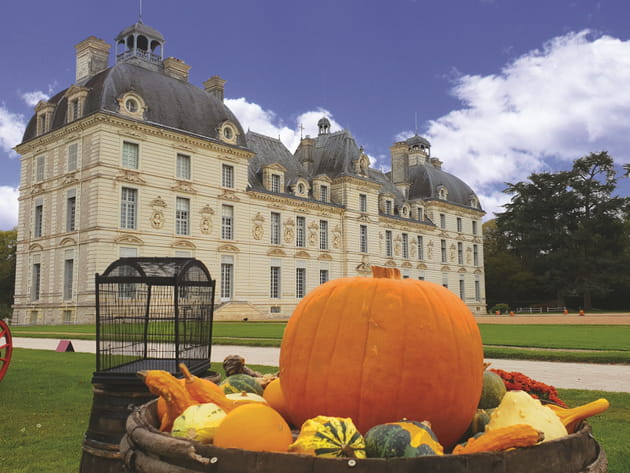 Enchanteur, l'automne fleurit au château de Cheverny !