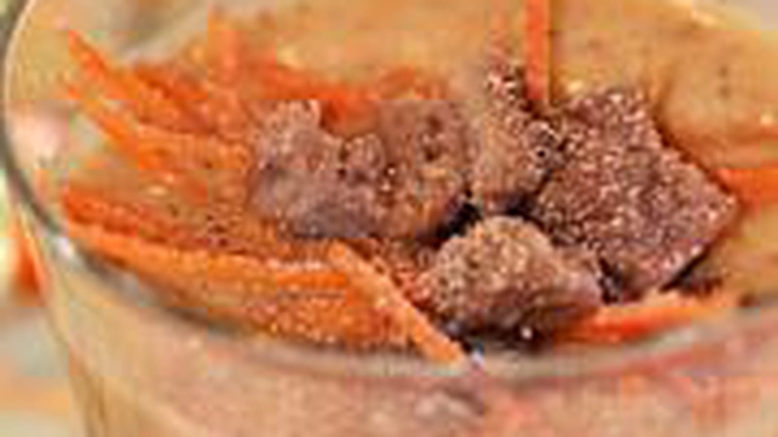Velouté marrons carottes au kiri