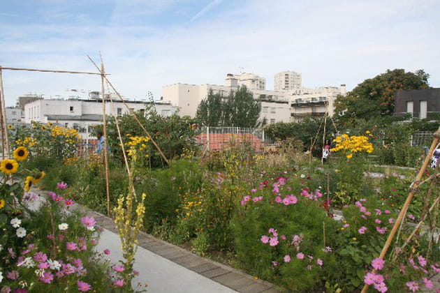 Un coin de verdure au milieu des immeubles