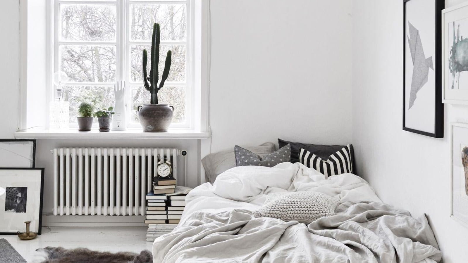Cosy 