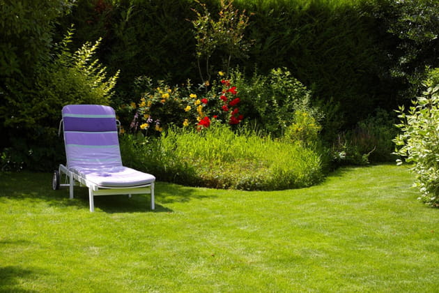 Bain de soleil près des fleurs