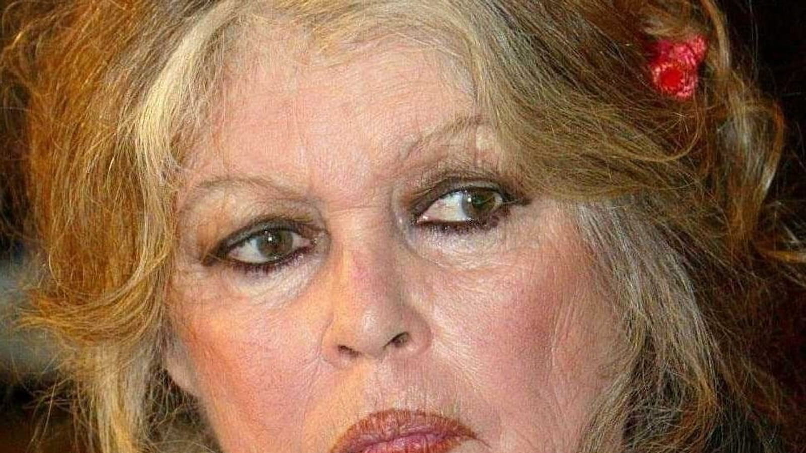 Brigitte Bardot