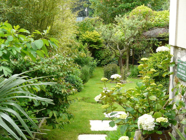 Un jardin à l'anglaise foisonnant nous ouvre ses portes