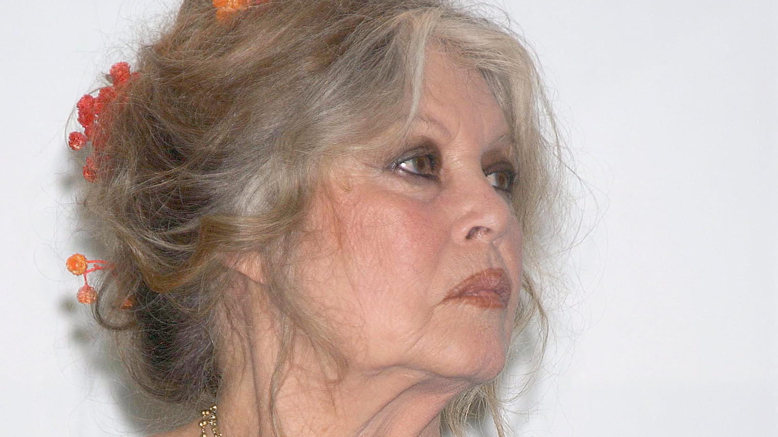 Brigitte Bardot