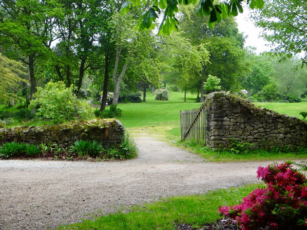 Une prairie qui invite &agrave; la promenade