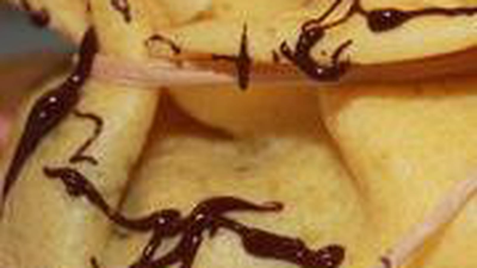 Crêpes banane-choco