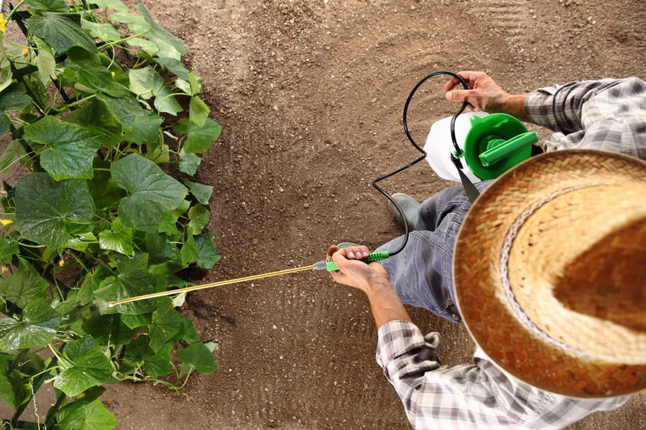 Pesticides interdits : quelles sont les alternatives ?