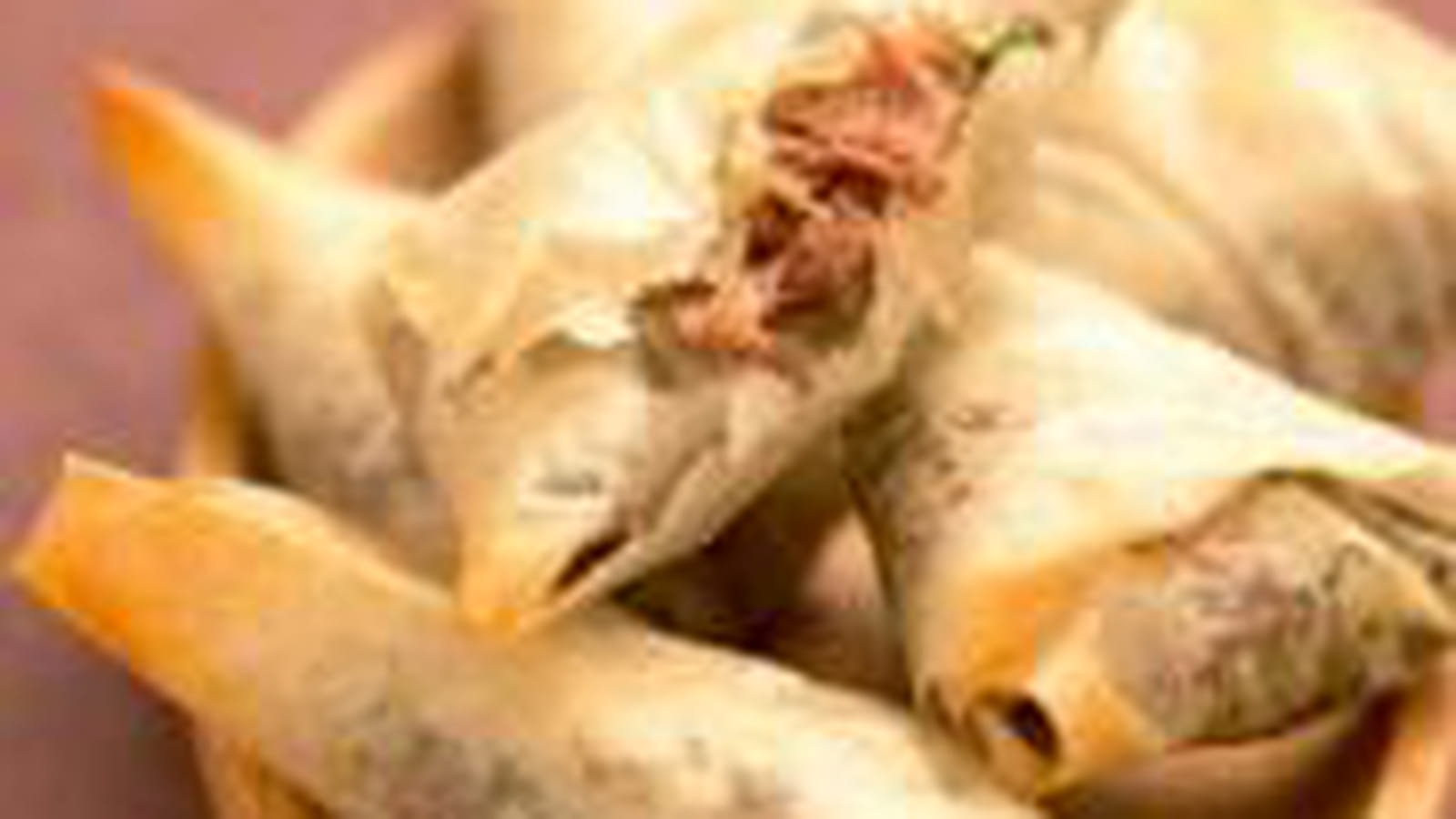 Brick de confit de canard