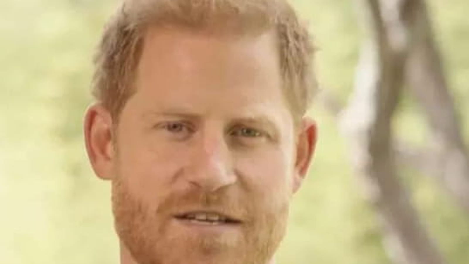 Prince Harry