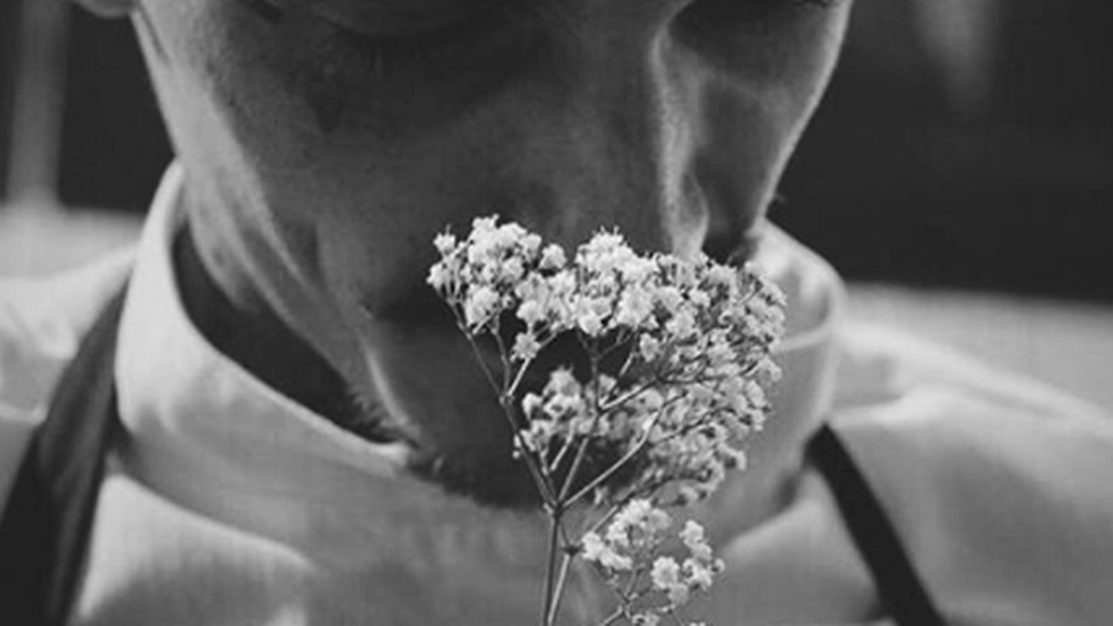 Guillaume Sanchez à fleur de peau