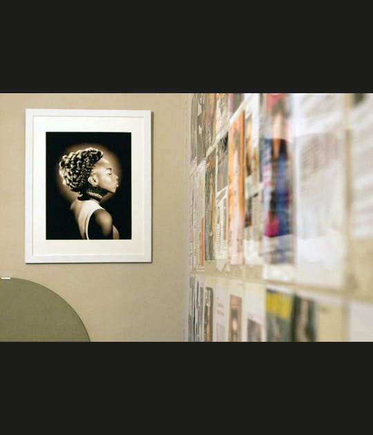 Les postiches de Sylvie