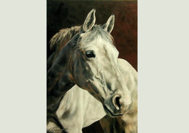 Le cheval, imp&eacute;rial