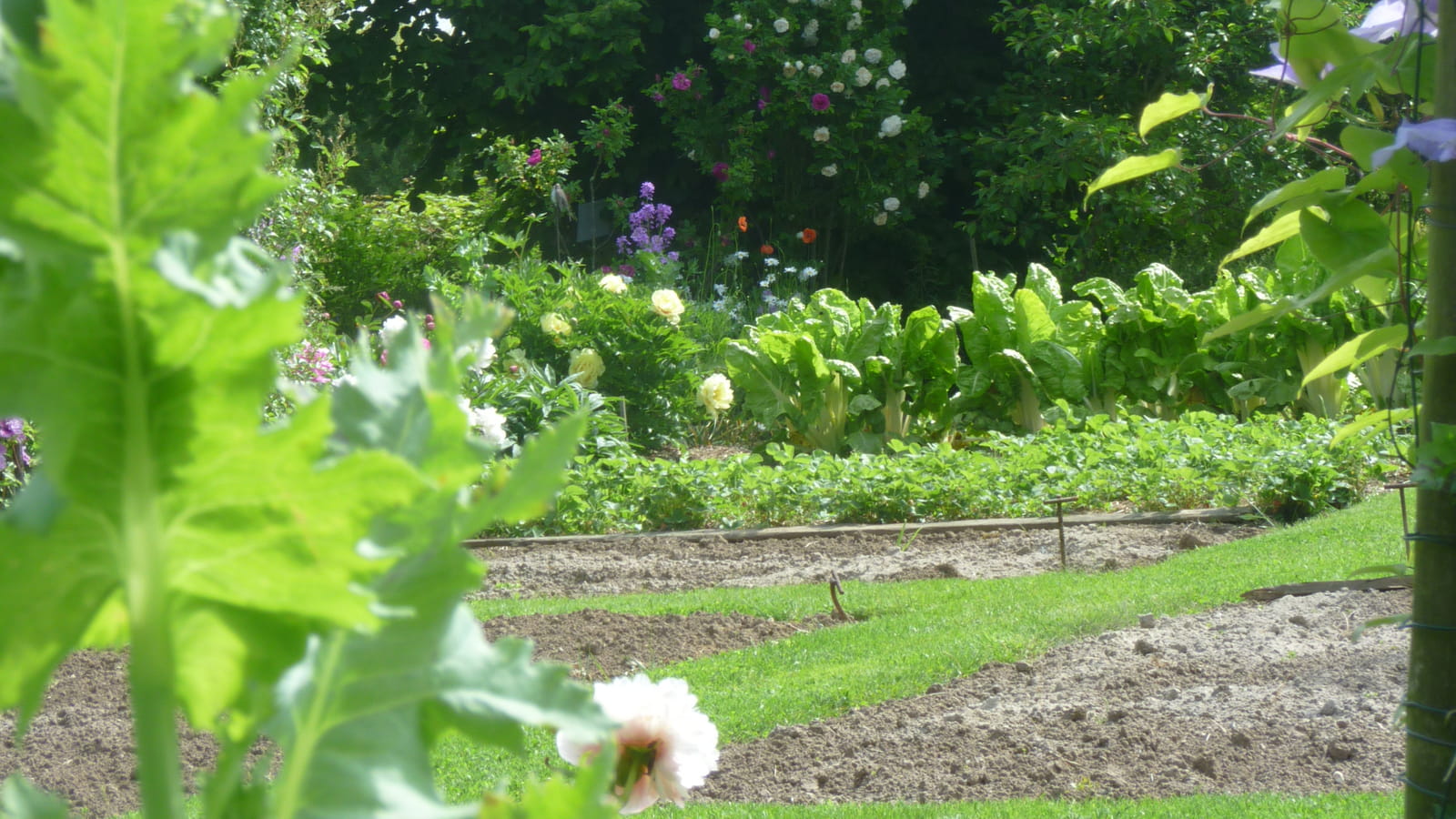 Potager