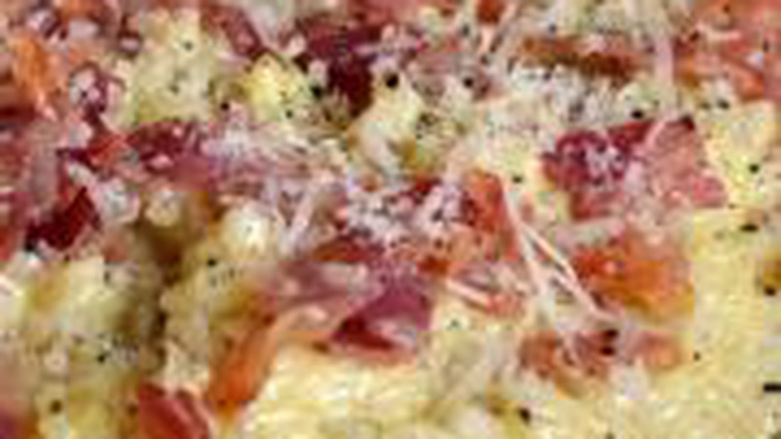 Risotto façon carbonara