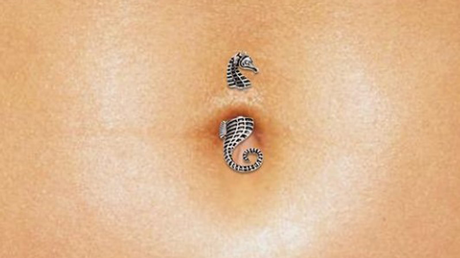 Piercing hippocampe 
