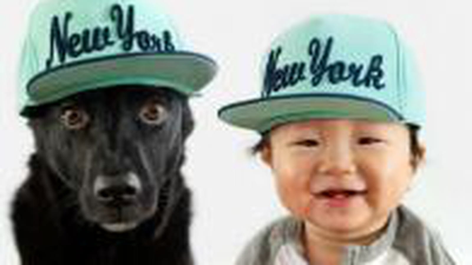 New York State of Mind pour Jasper & Zoey
