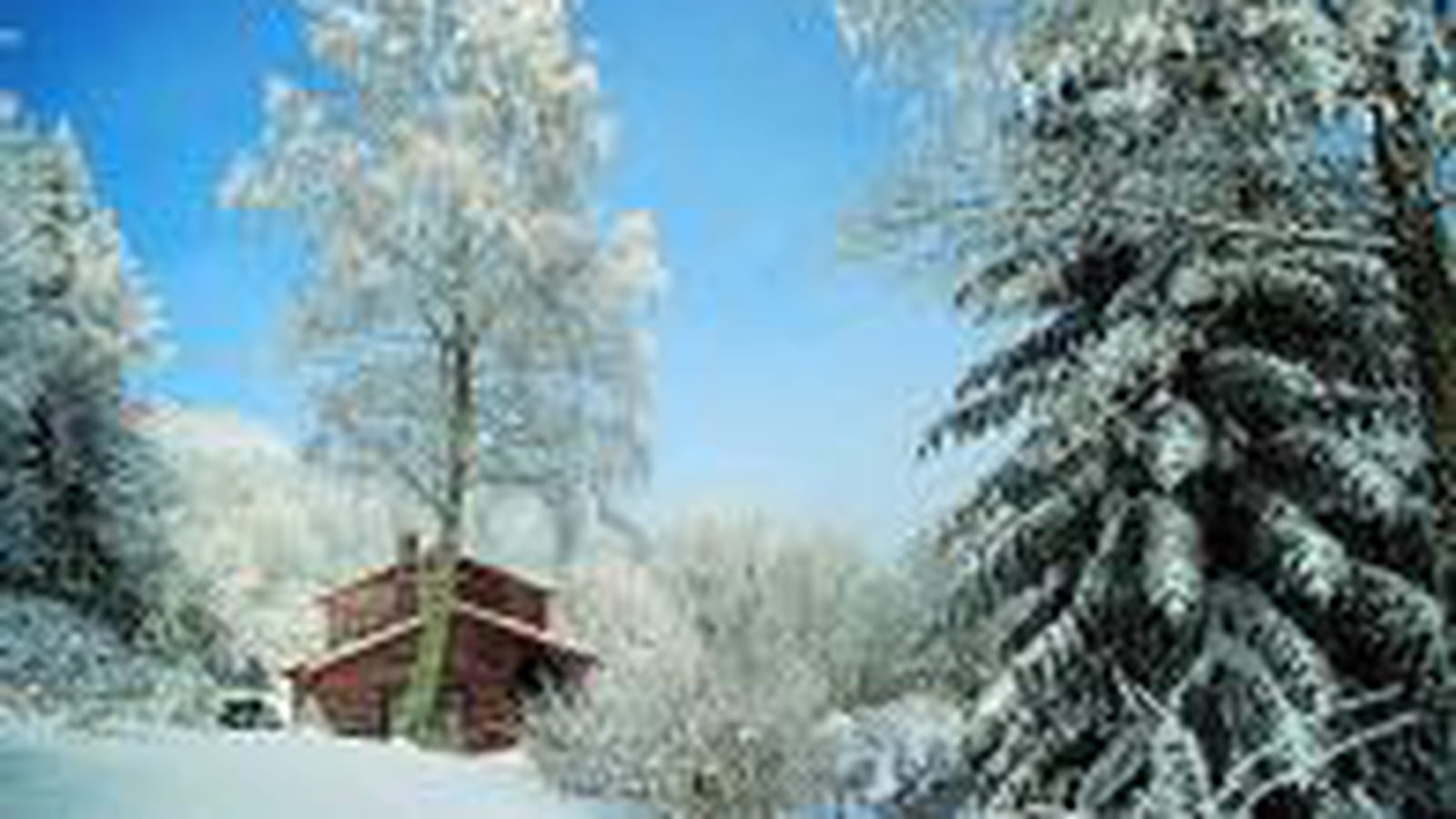 Jardin en hiver