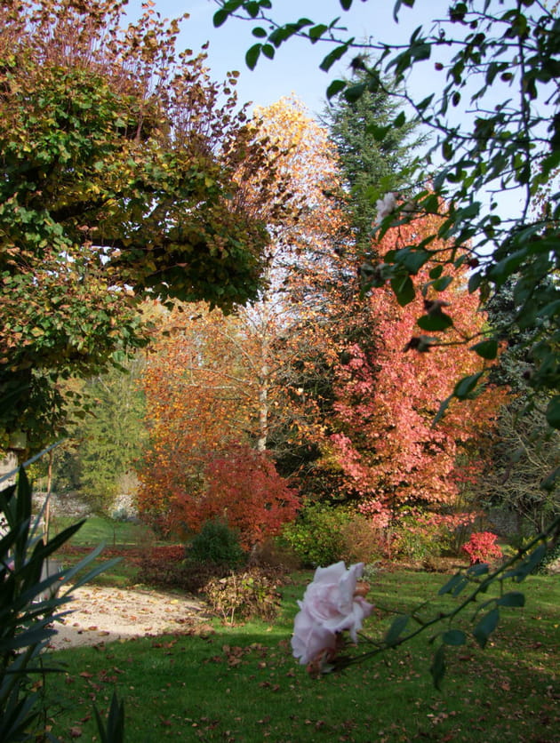 la symphorine a janville sur juine