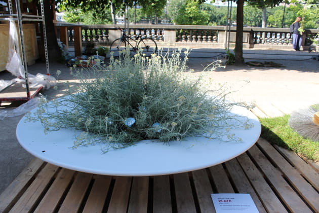 Un plat v&eacute;g&eacute;talis&eacute;