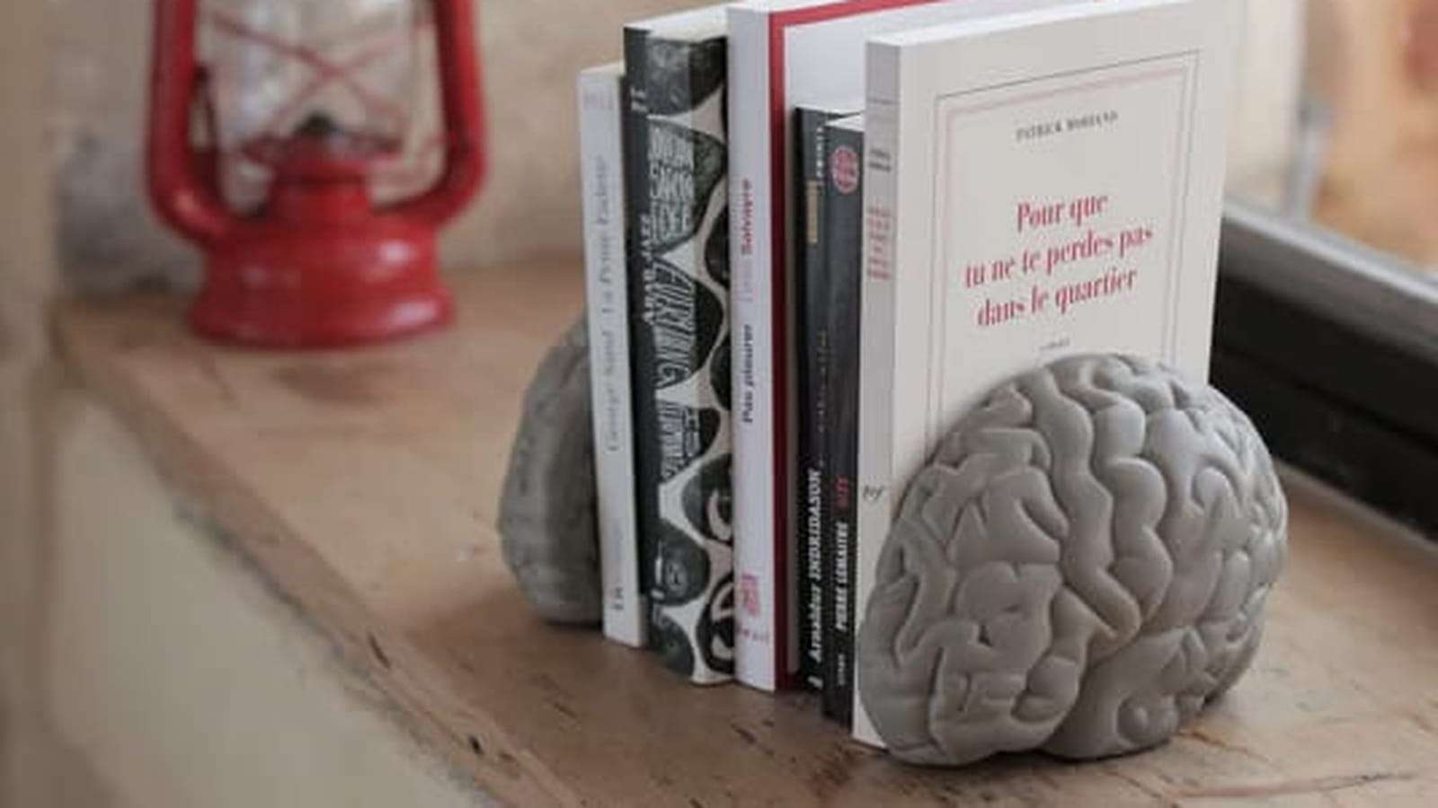 Cerveau humain