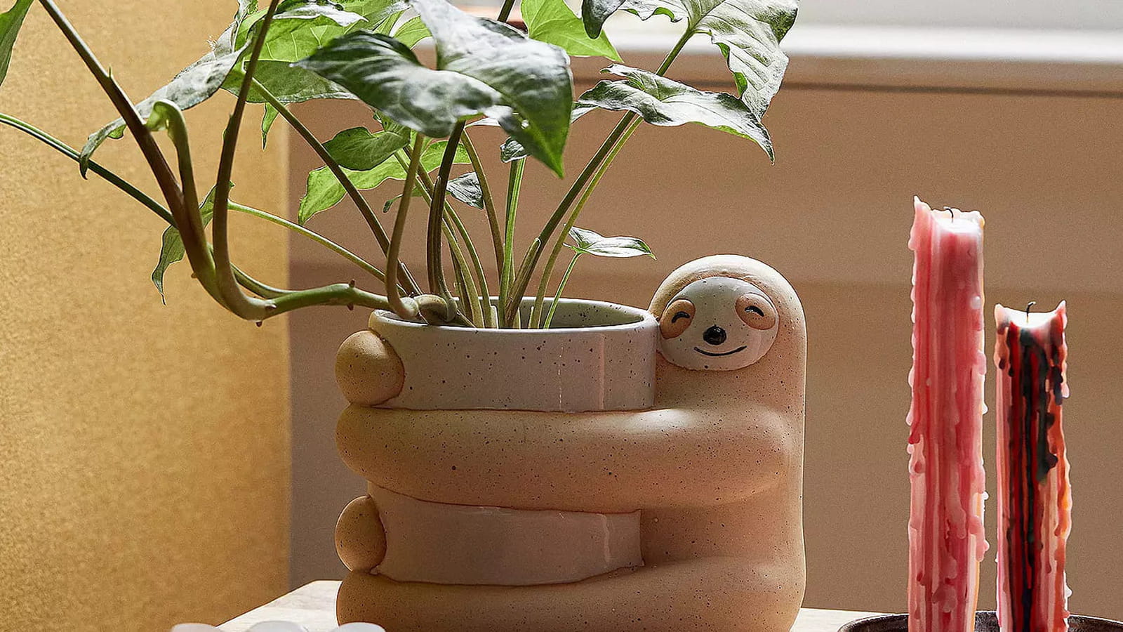 Pot de fleurs paresseux Urban Outfitters 