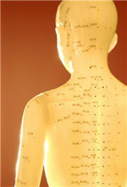 l'acupuncture travaille sur les méridiens de l'organisme.