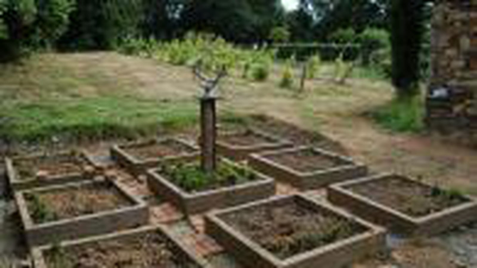 Potager en carré