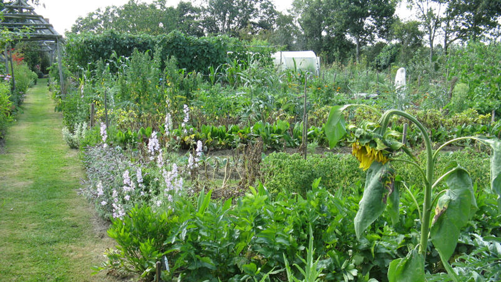 Potager de Sylvain et Hélène Jaworski