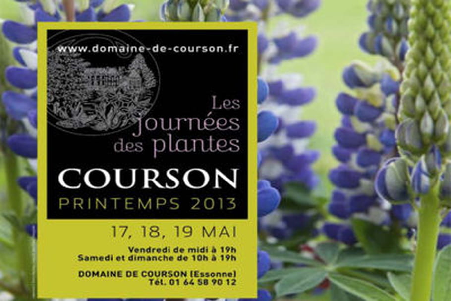Journées des Plantes à Courson : cap sur le printemps 2013