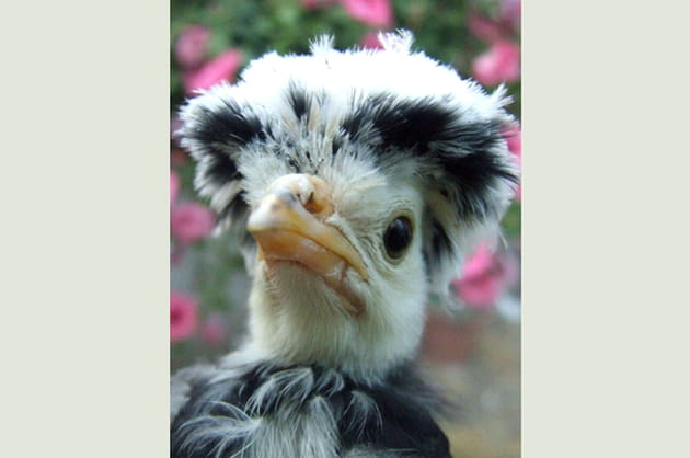 Un peu de volume ravive ma coupe