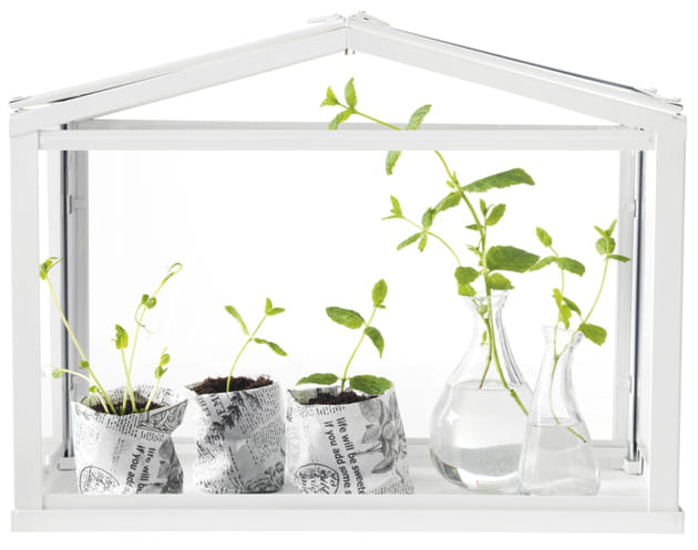 Une serre Socker IKEA