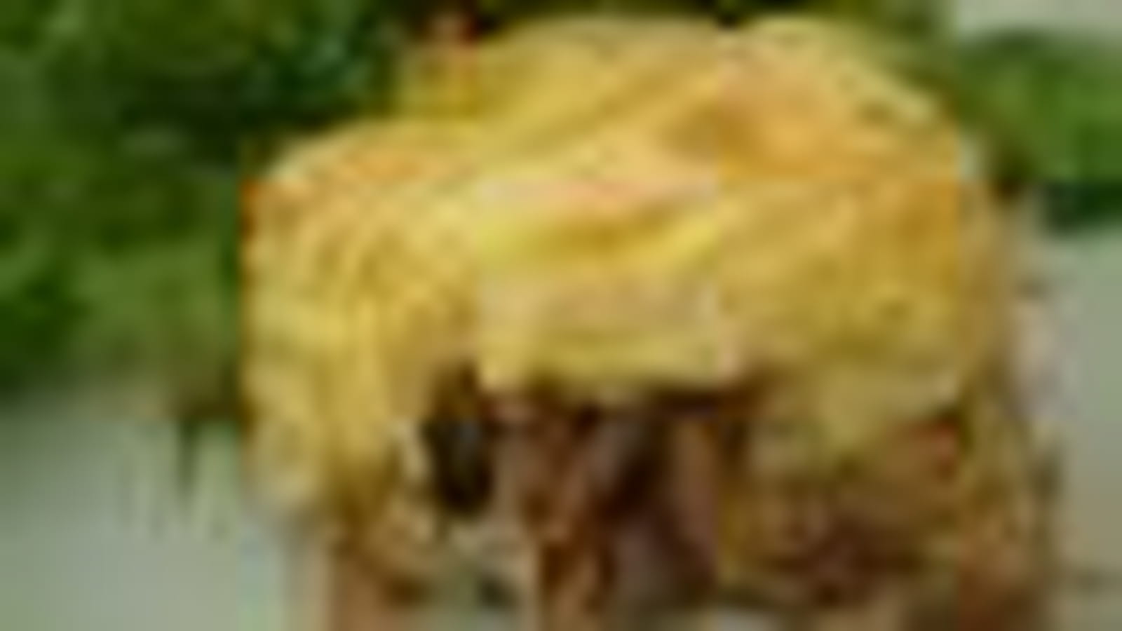 Hachis parmentier de poulet