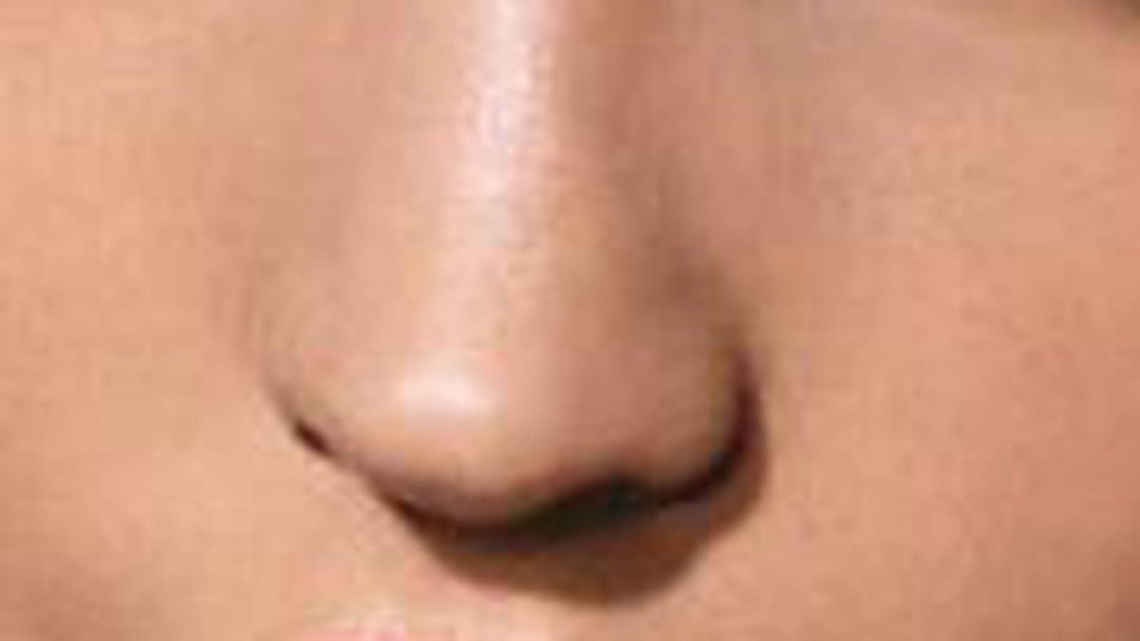 Félin