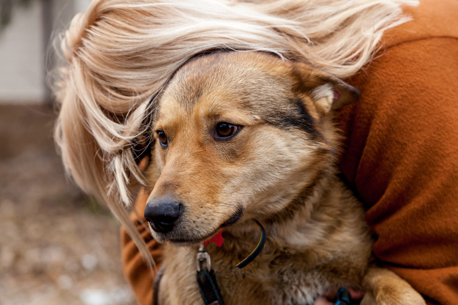 This symptom in an animal can be a sign of end of life according to a veterinarian This symptom in an animal can be a sign of end of life according to a veterinarian