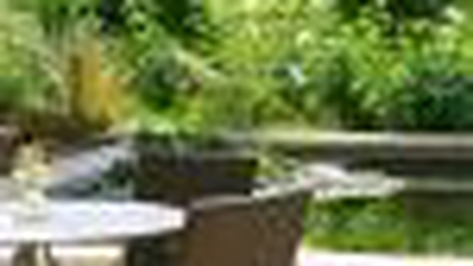Jardin