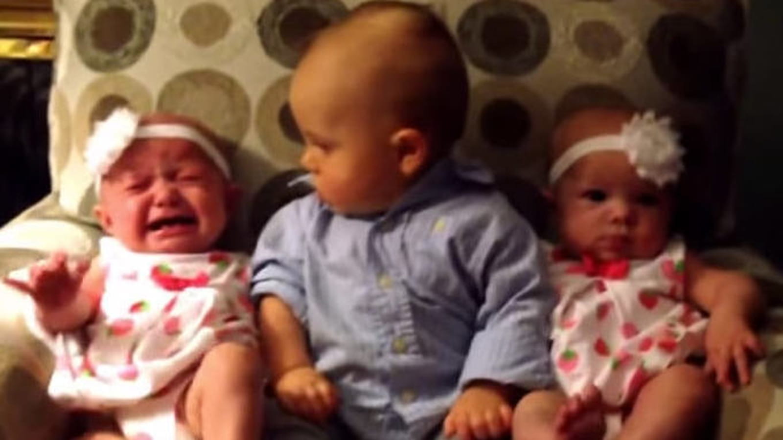  La confrontation d'un bébé et de jumelles
