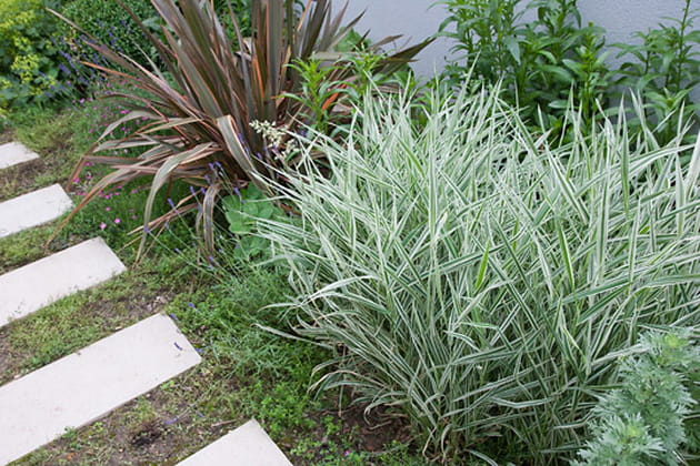 Une allée "du couchant"