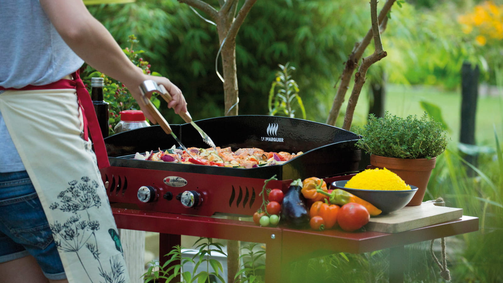 Plancha à gaz Botanic