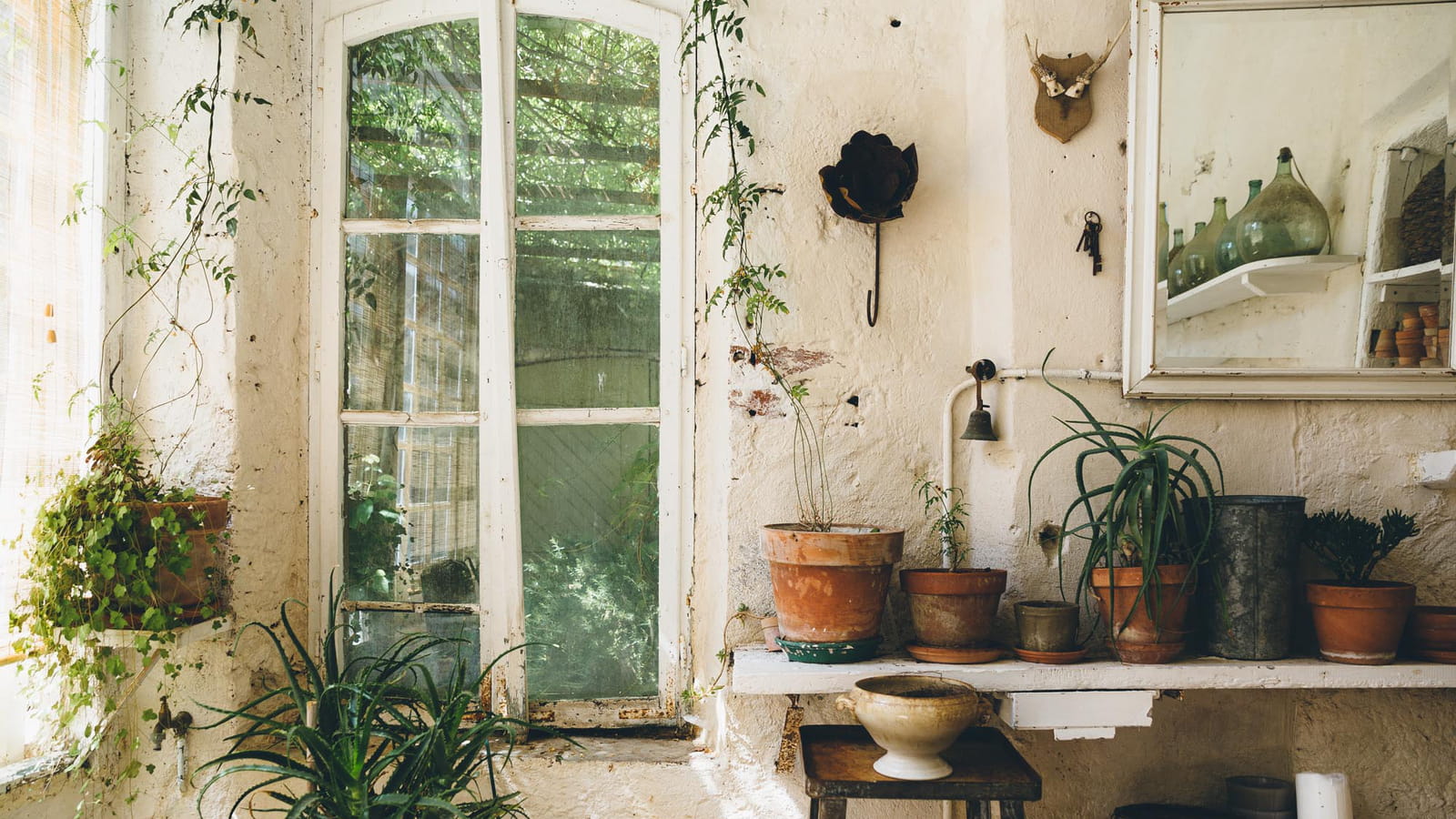 Jardin d'hiver