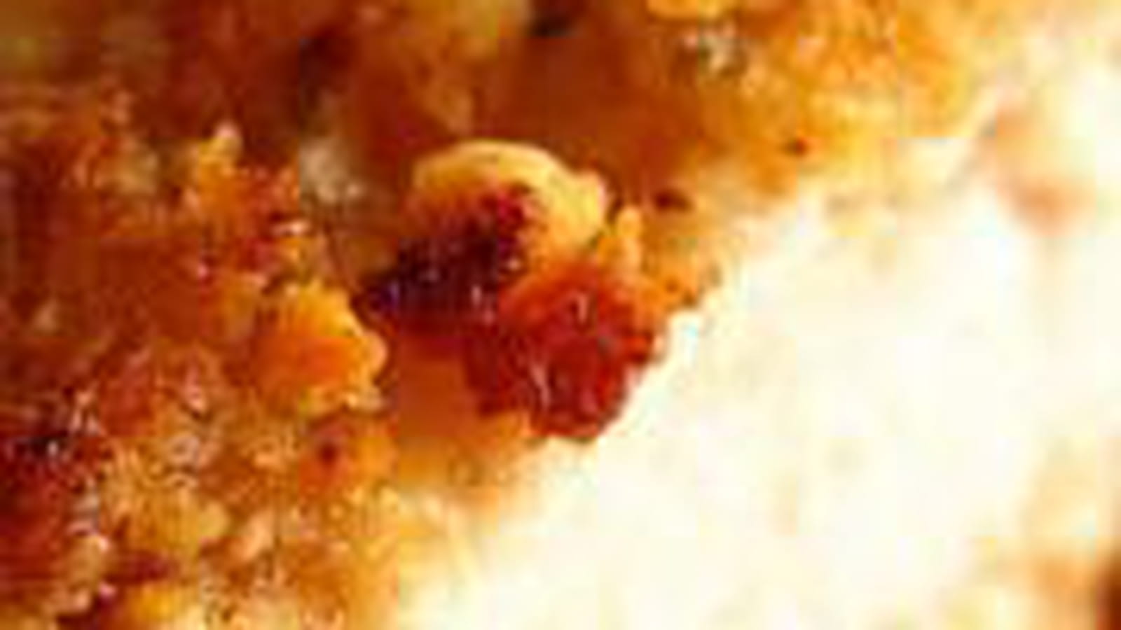 Escalopes de poulet panées