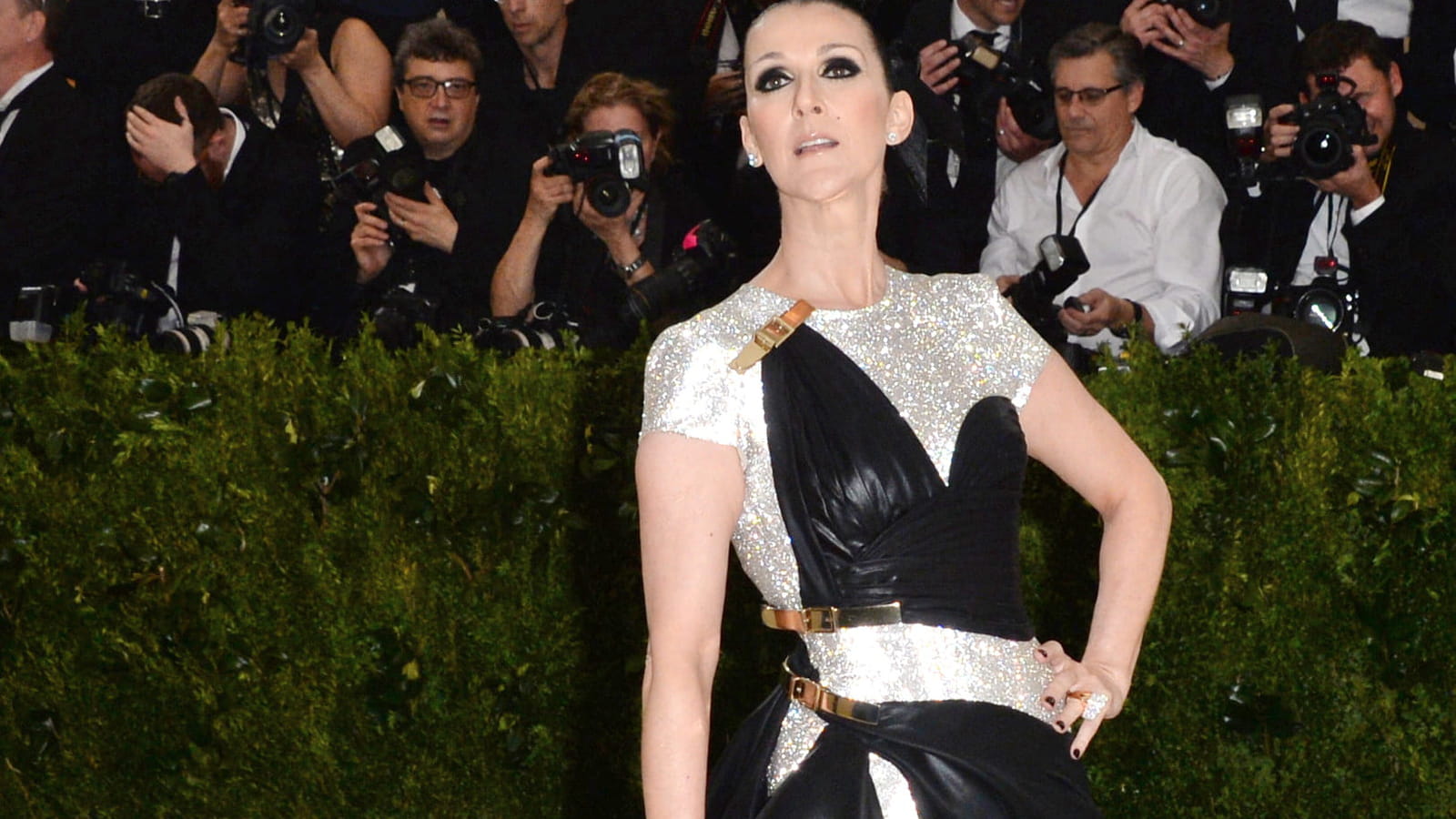 Céline Dion le 1er mai 2017