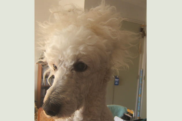 Une mise en plis voyons