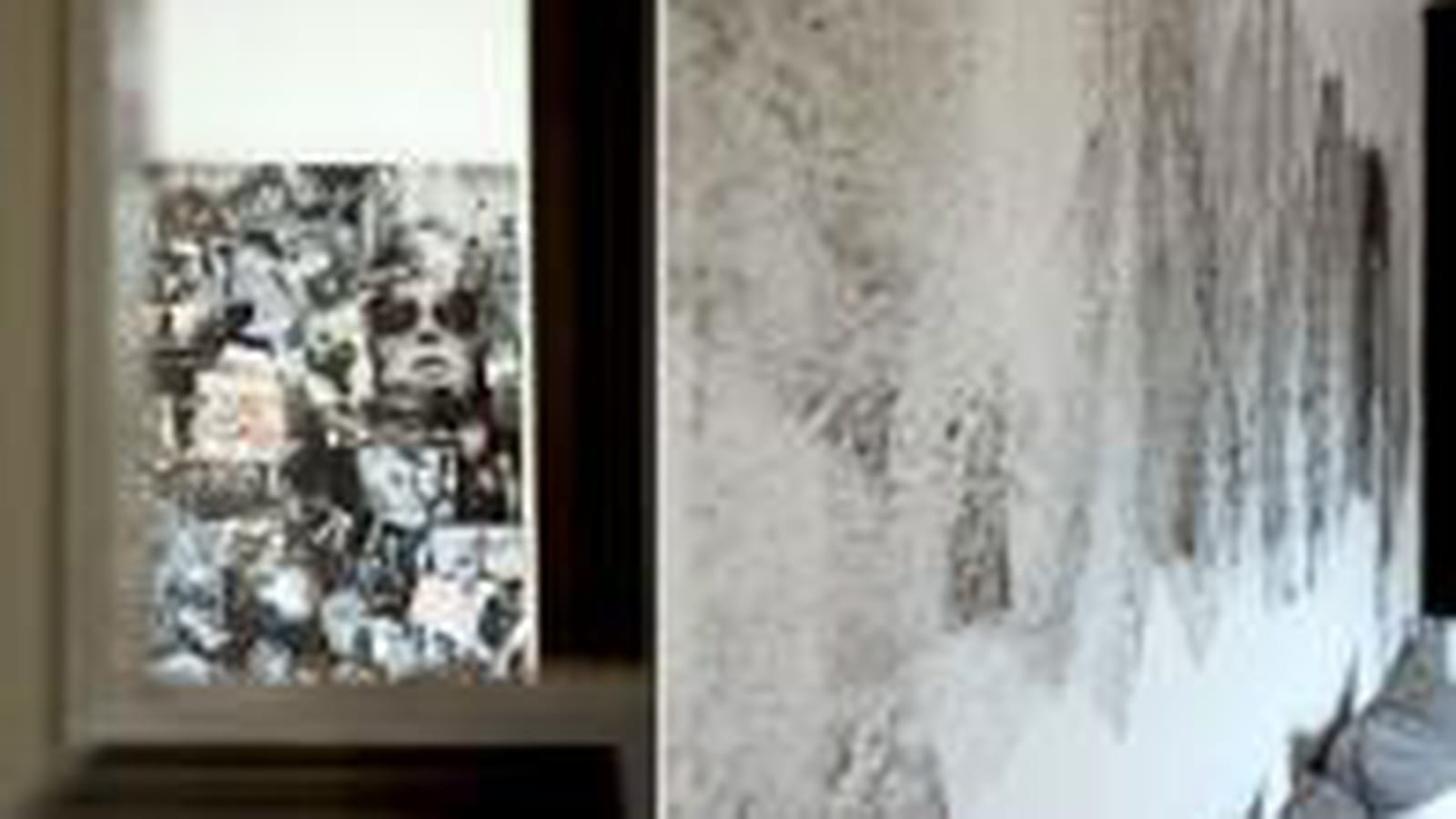 Chambre noire et blanche