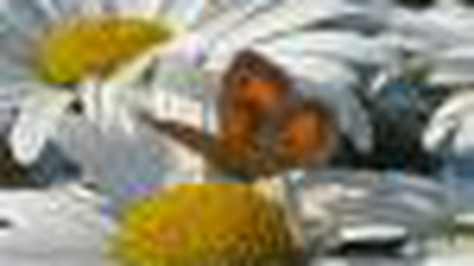 Marguerite
