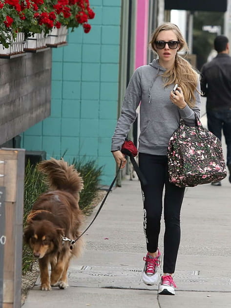 Amanda Seyfried et son berger australien