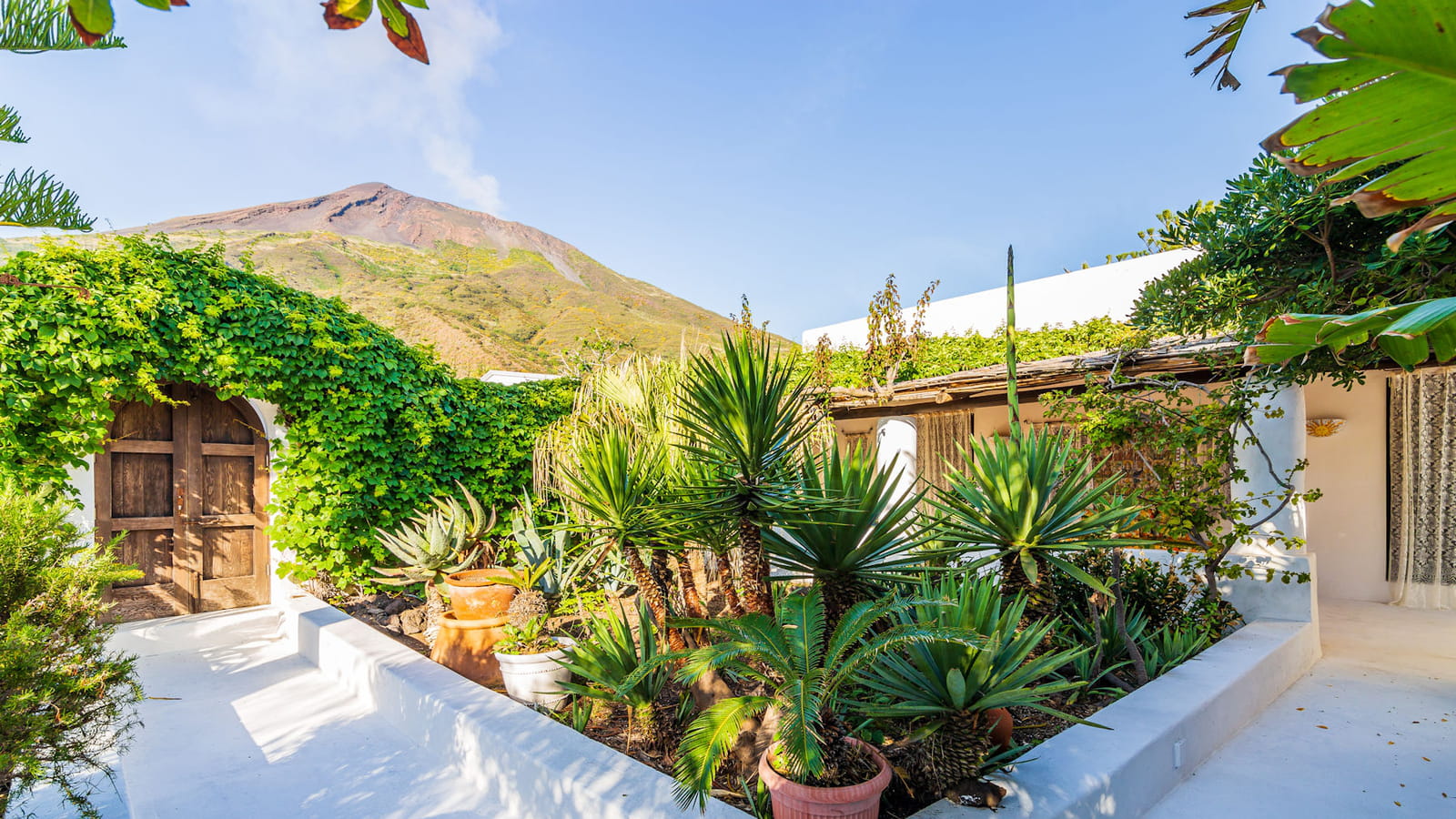 Jardin méditerranéen